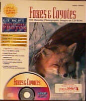 Foxes & Coyotes