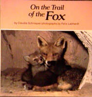 On the Trail of the Fox